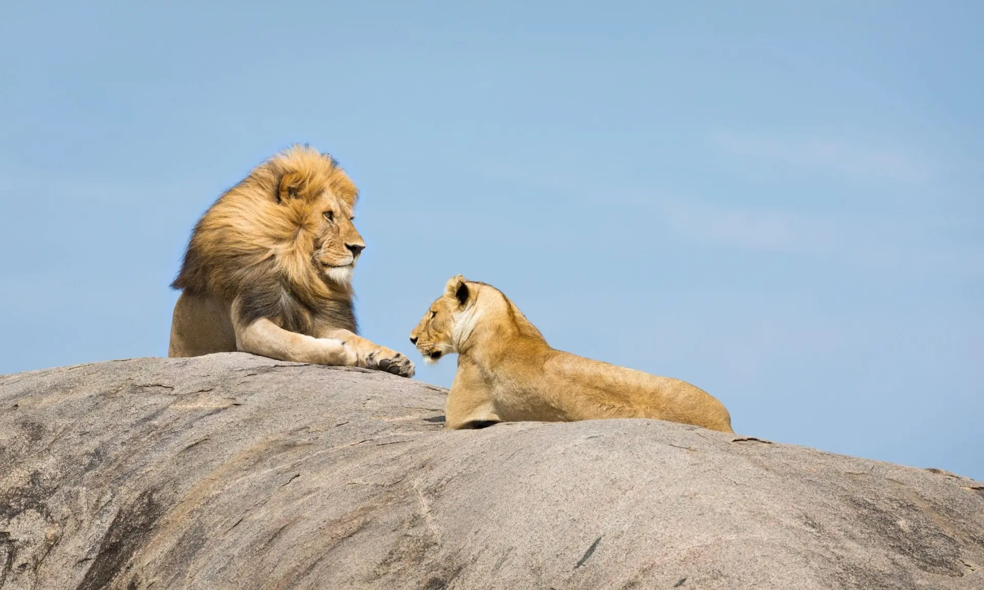 Tanzania safari tours - 1